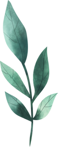 Watercolor Leaf Object 